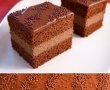 Desert tort cu ciocolata-4