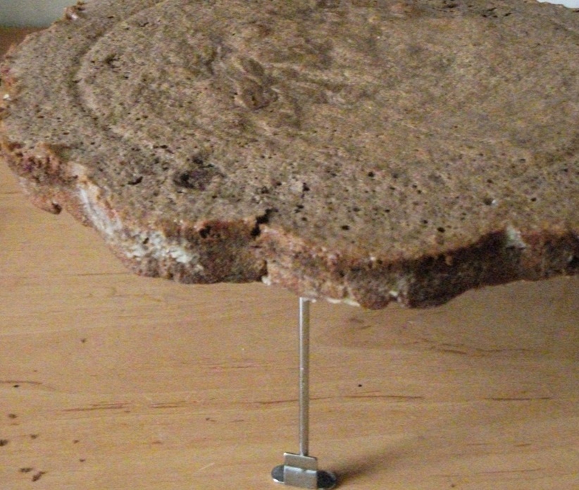 Tort lapte de pasare