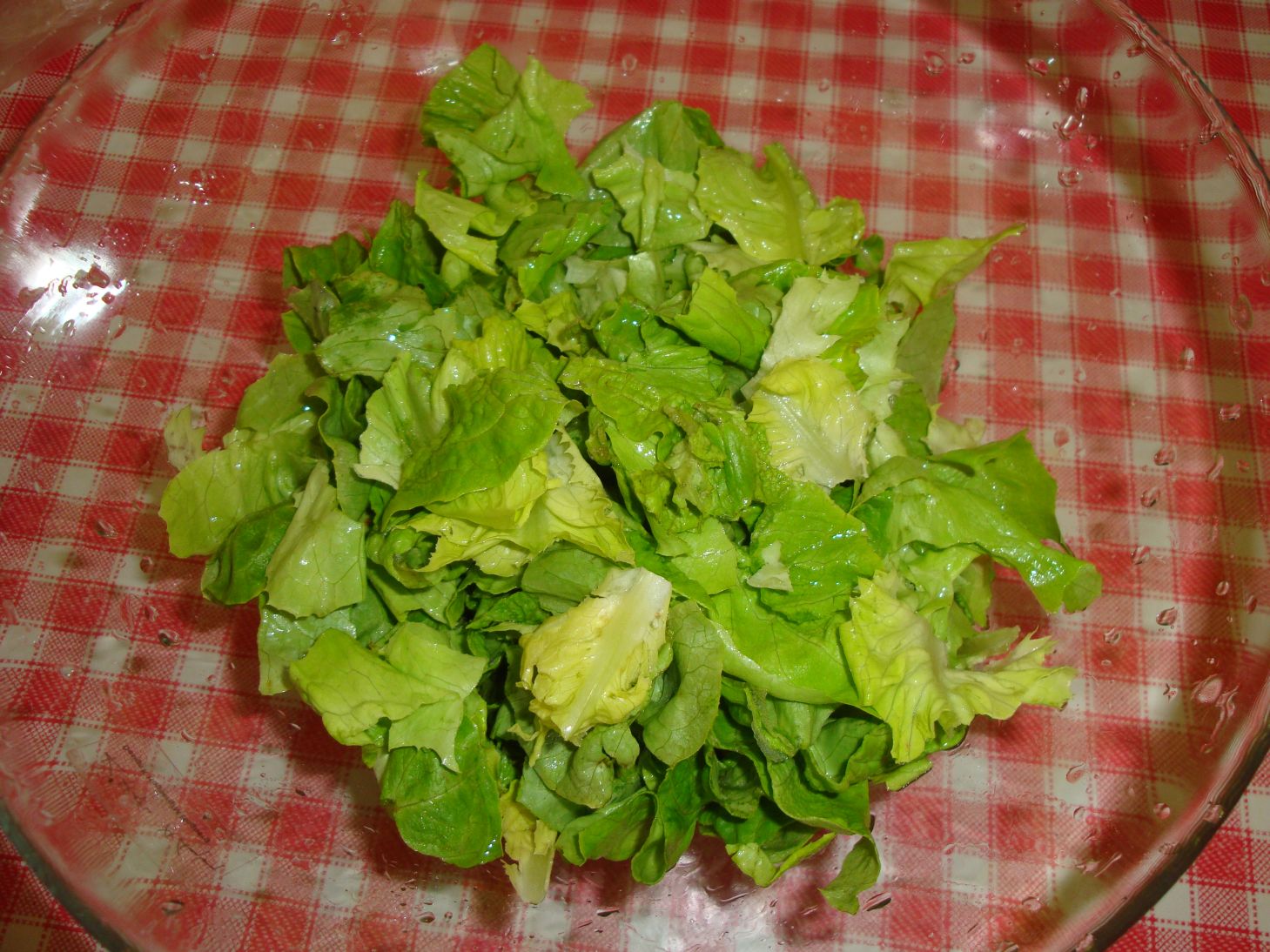 Salata de primavara