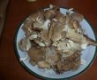 Pleurotus cu branza si smantana-0