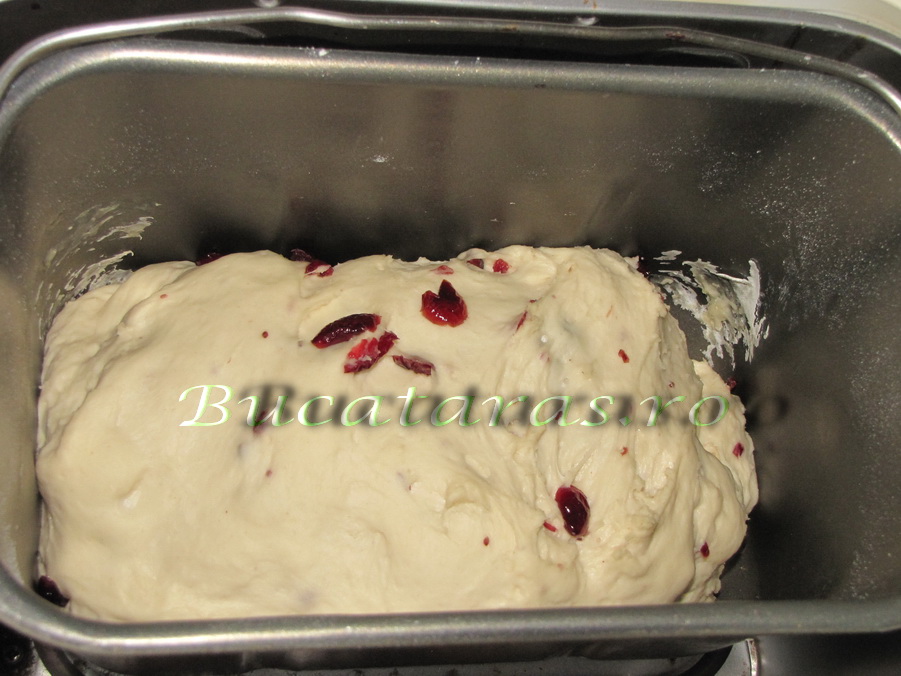 Cranberries Bread