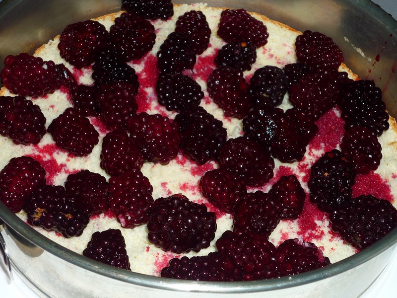 Cheesecake cu fructe de padure