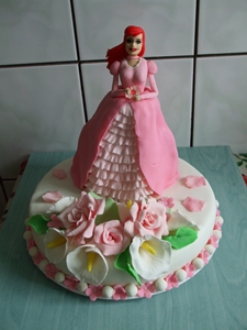 Tort Ariel