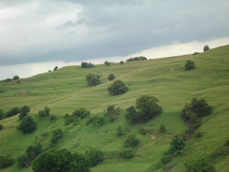 Maramu si nu numai