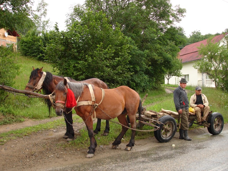 Maramu si nu numai