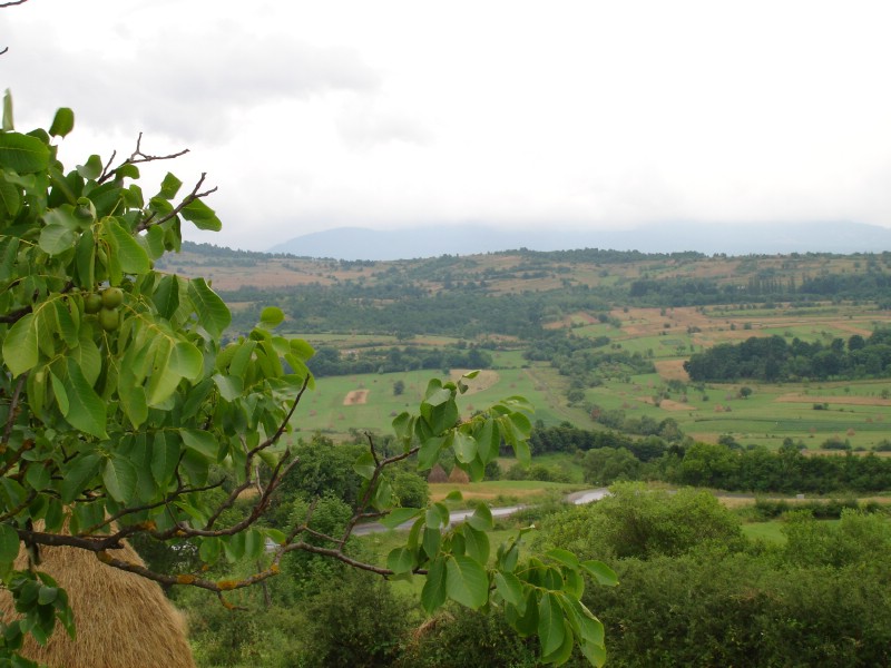 Maramu si nu numai