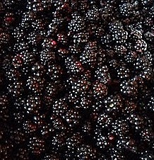 Dulceata de mure