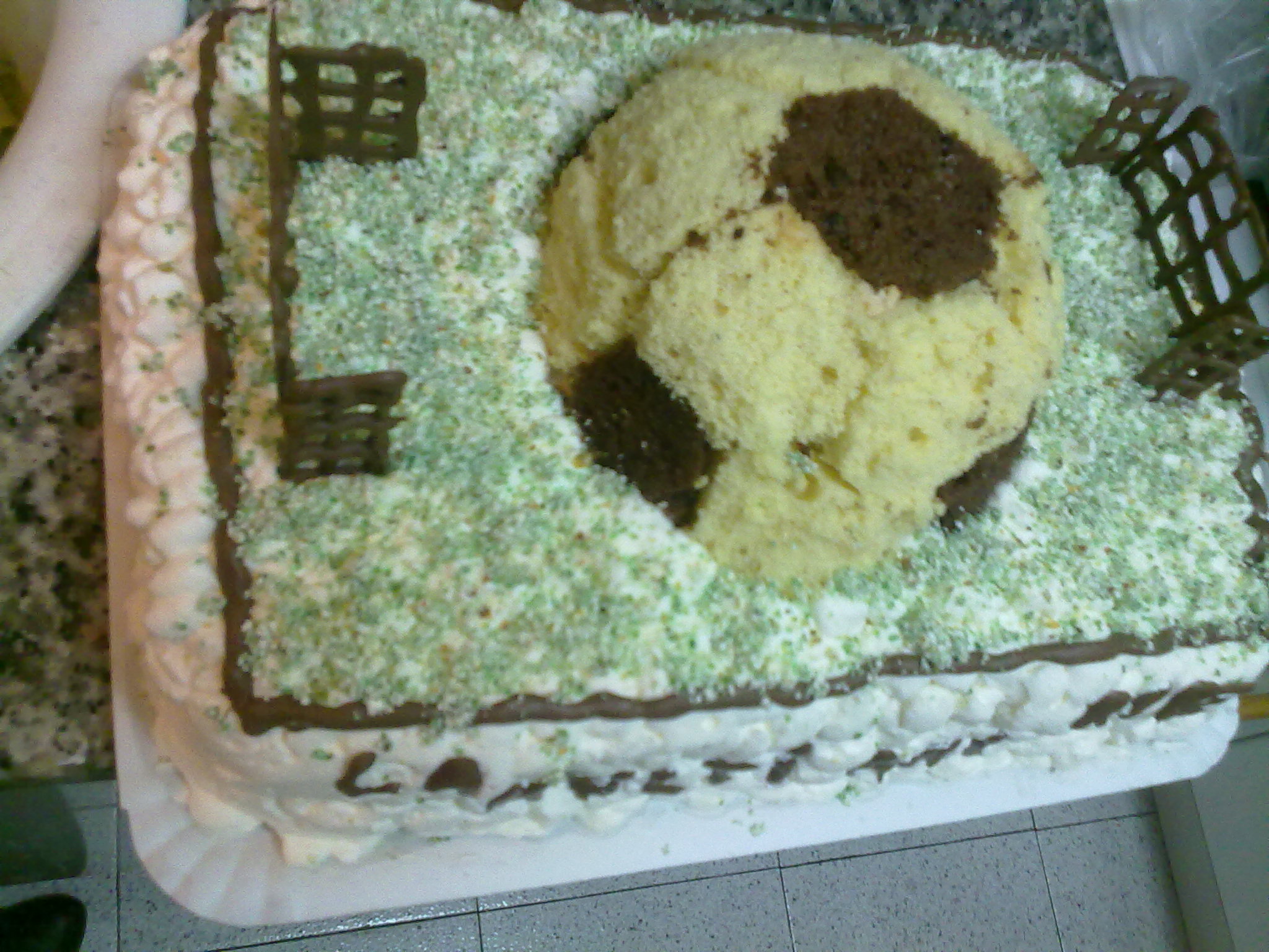 Tort teren de fotbal