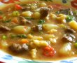 Gulyasleves [ supa gulas ]-4