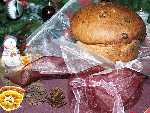 Panettone