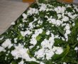 Placinta cu spanac si feta/ Spanakopita-4