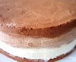 Tort Mousse-7