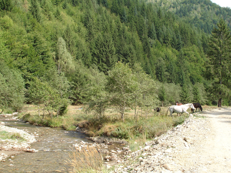 Traseu de munte in anul acesta