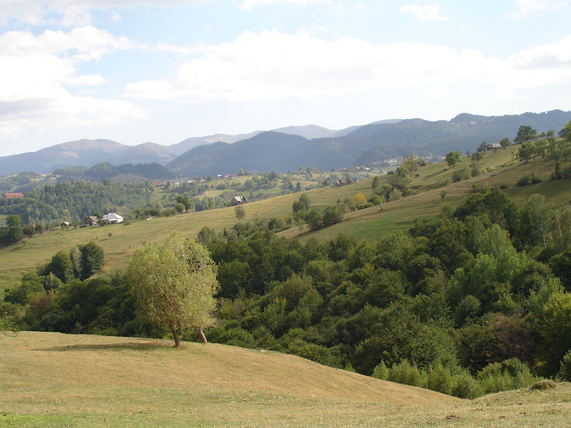 Traseu de munte in anul acesta