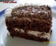 Tort cu blat de cacao si mousse de ciocolata-1