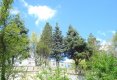 Despre plante-2