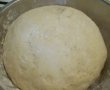 Focacia pentru ½ de kilogram de faina-0