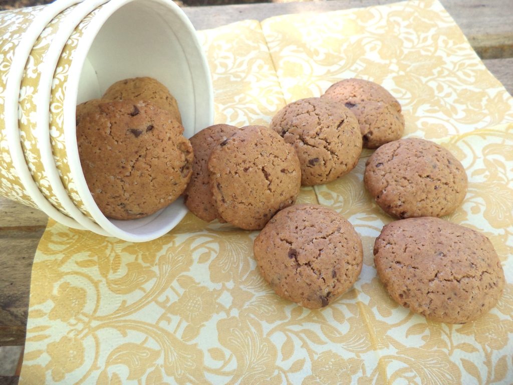 Biscuiti cu scortisoara, ghimbir si ciocolata