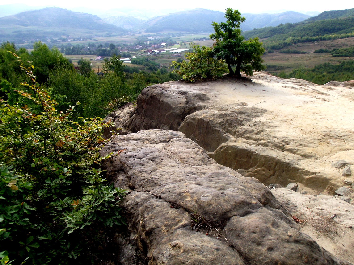 Bucătăras hai-hui – Grădina Zmeilor