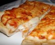 Pizza Calzone-6