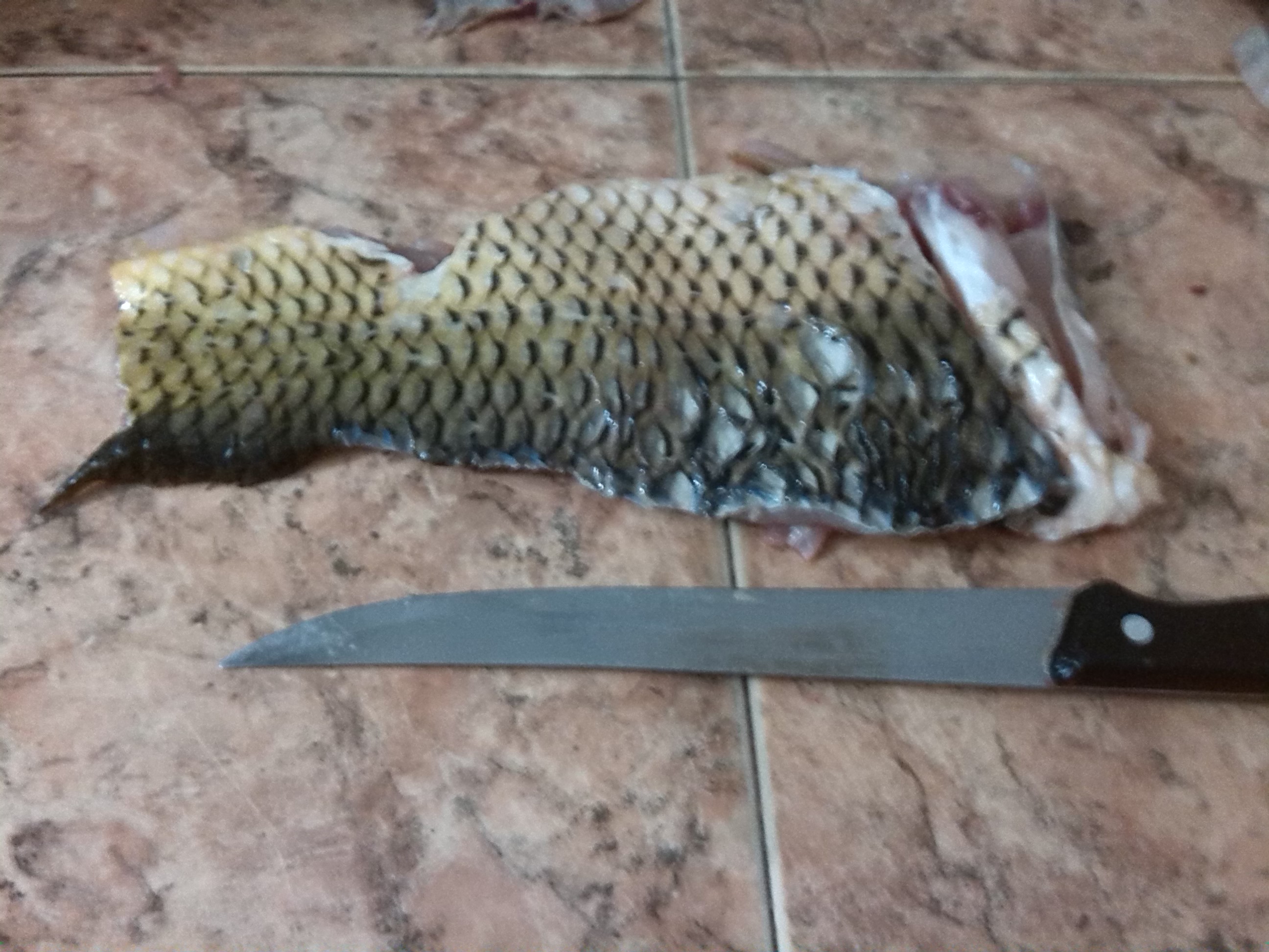 Peste prajit cu mujdei de usturoi si mamaliga