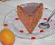 Tort Sacher-12