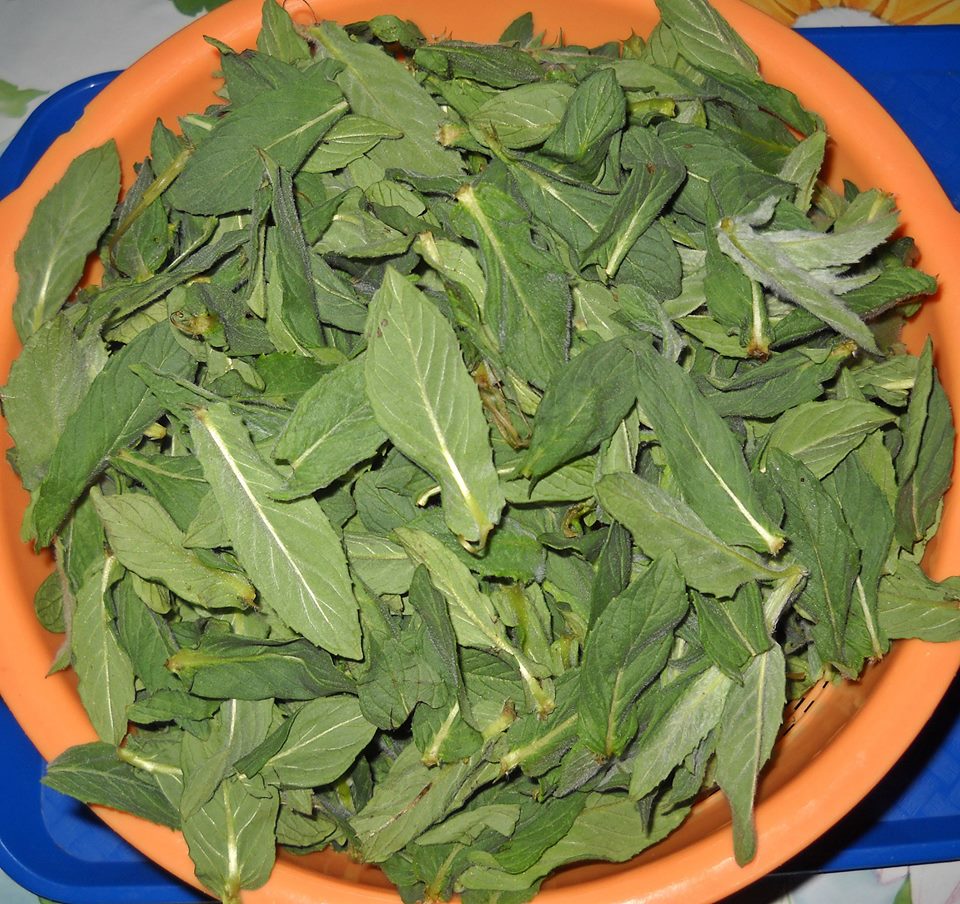 Sirop de menta