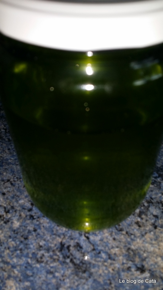 Sirop de menta de casa