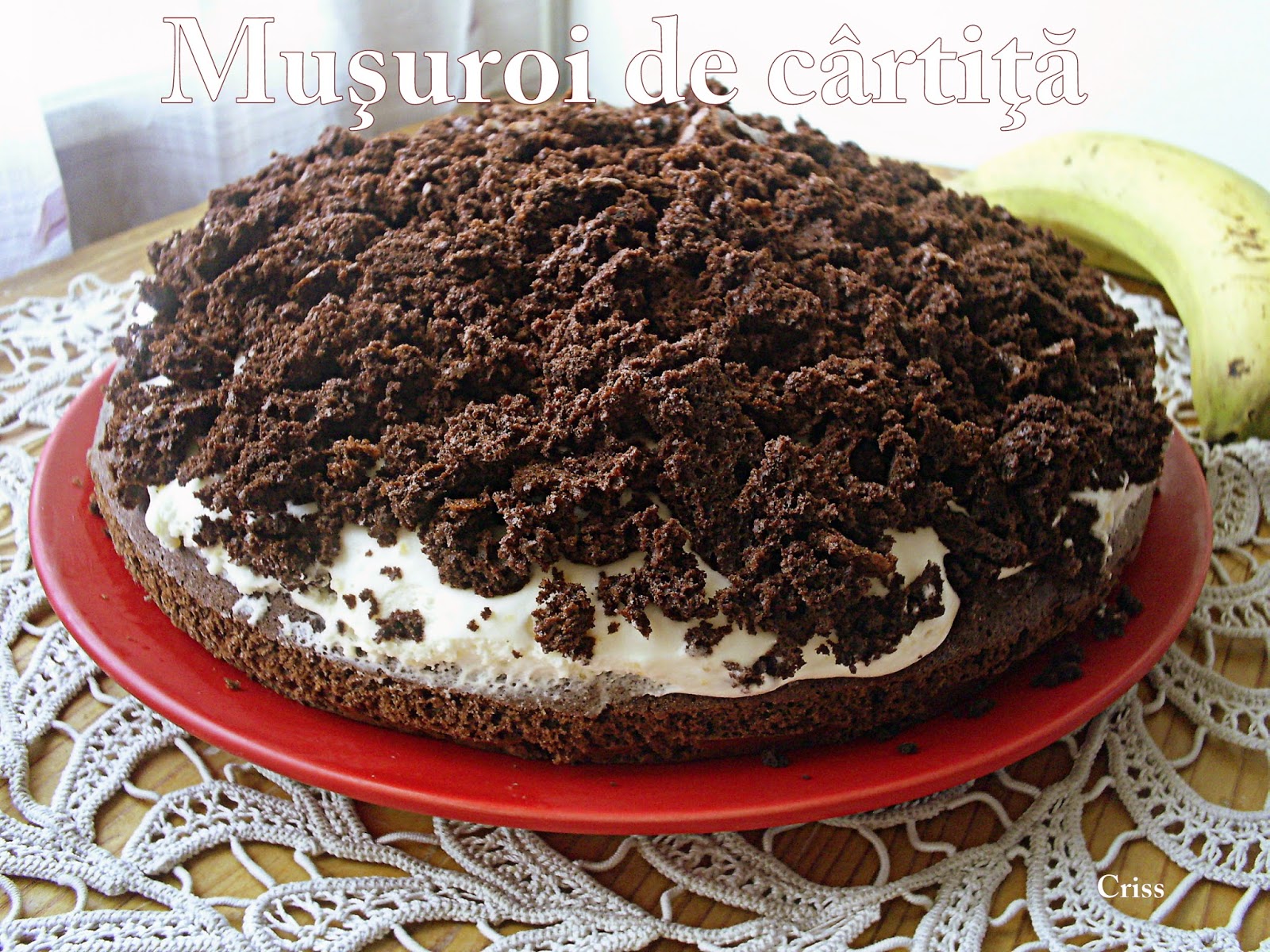 Desert tort musuroi de cartita