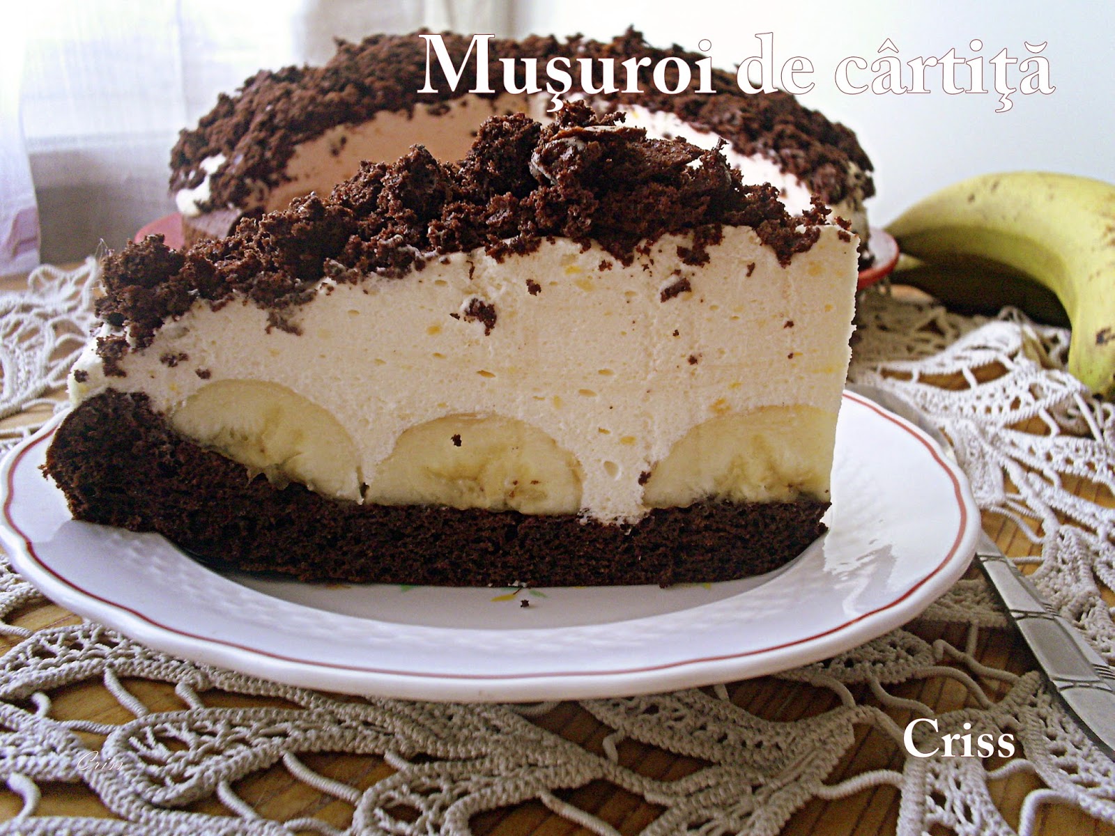 Desert tort musuroi de cartita