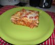 Lasagna cu piept de pui-5