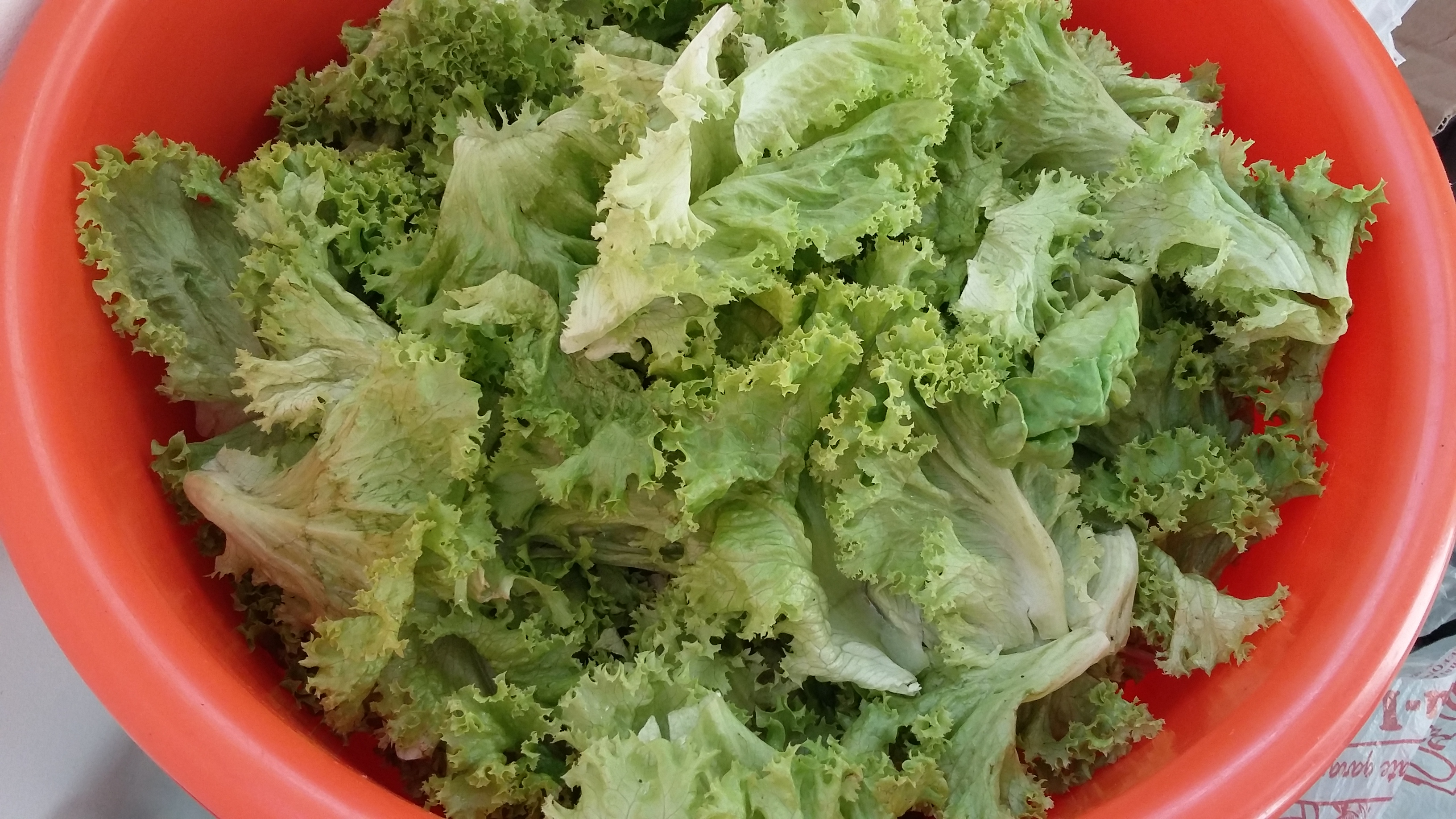 Ciorba de salata verde