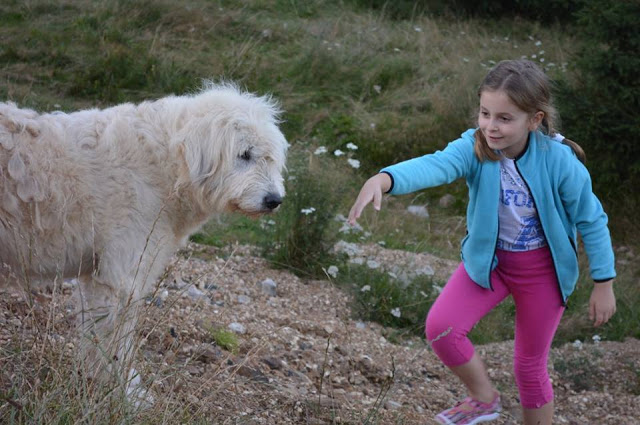 Cea mai frumoasa intalnire a bucatarasilor si o aniversare de milioane