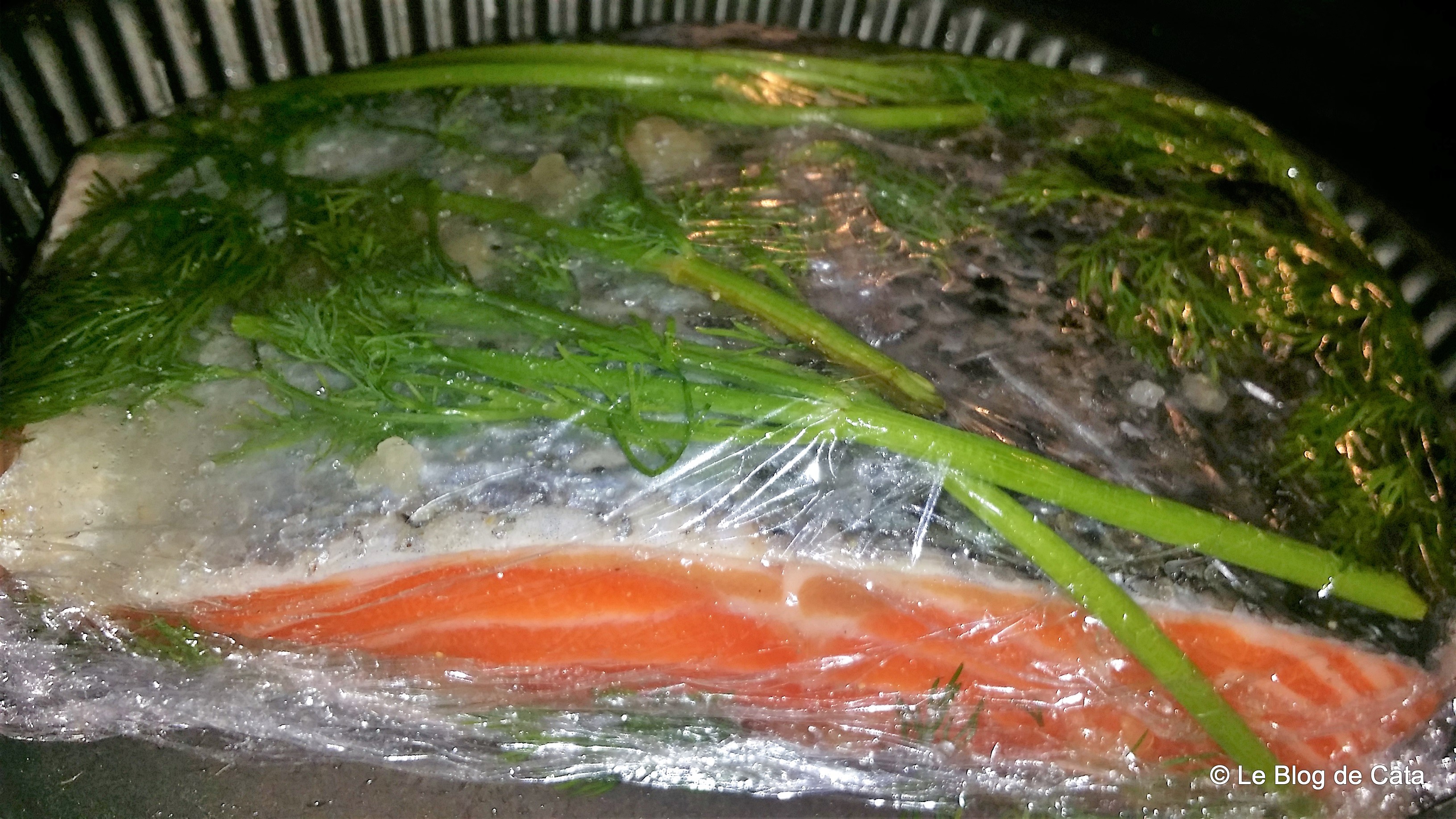 Somon gravlax