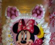 Desert tort  Minnie-1