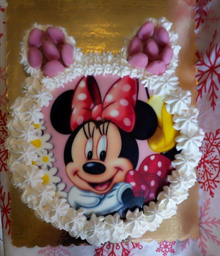 Desert tort  Minnie