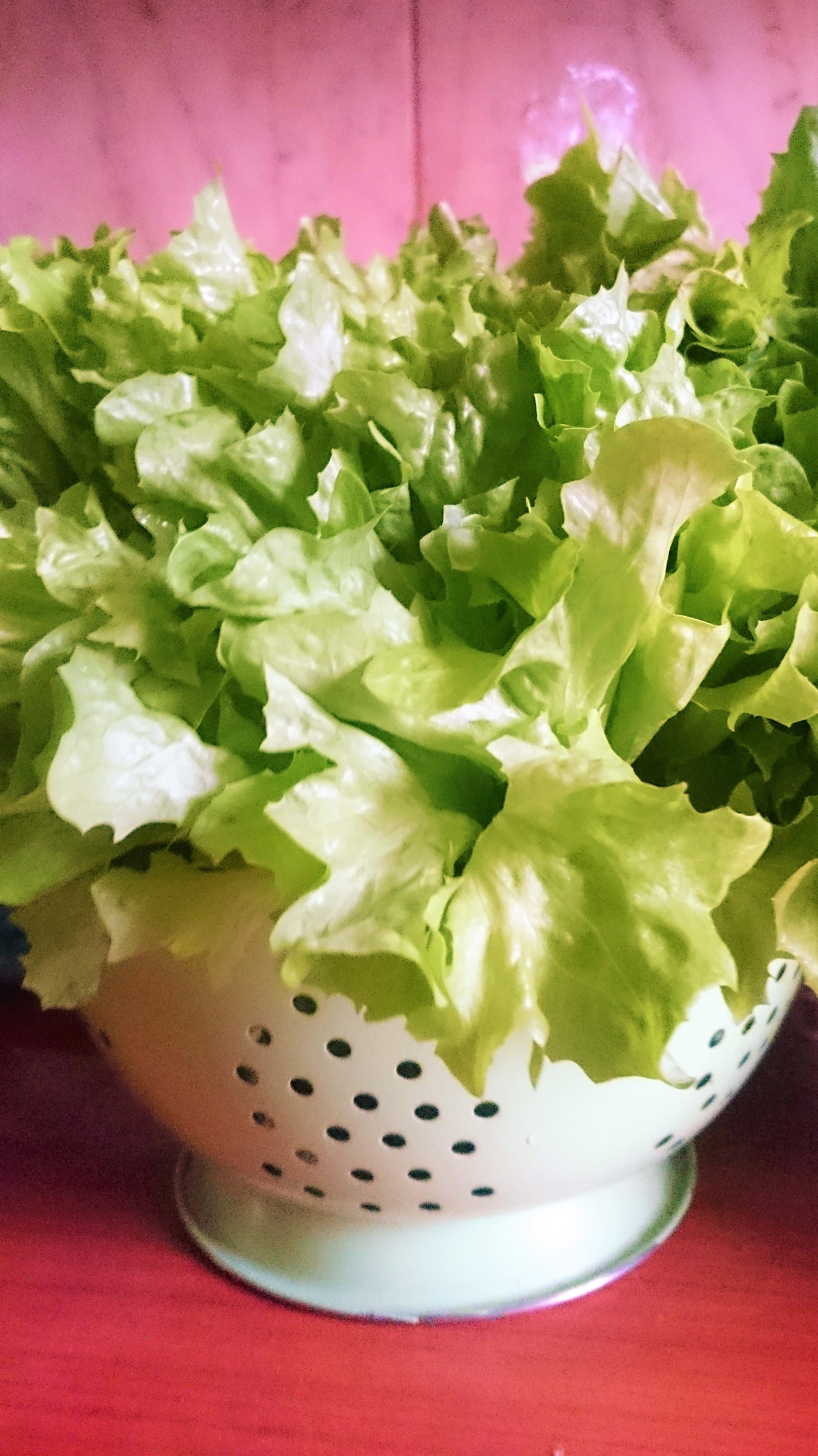 Ciorba de salata verde si spanac