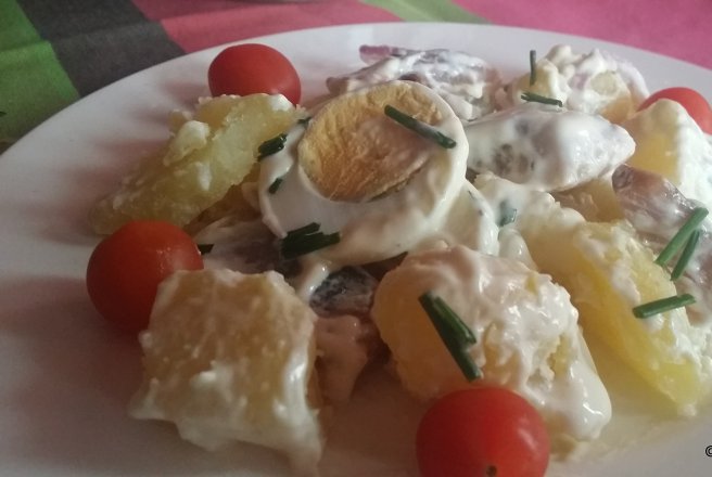 Salata cu hering afumat si cartofi