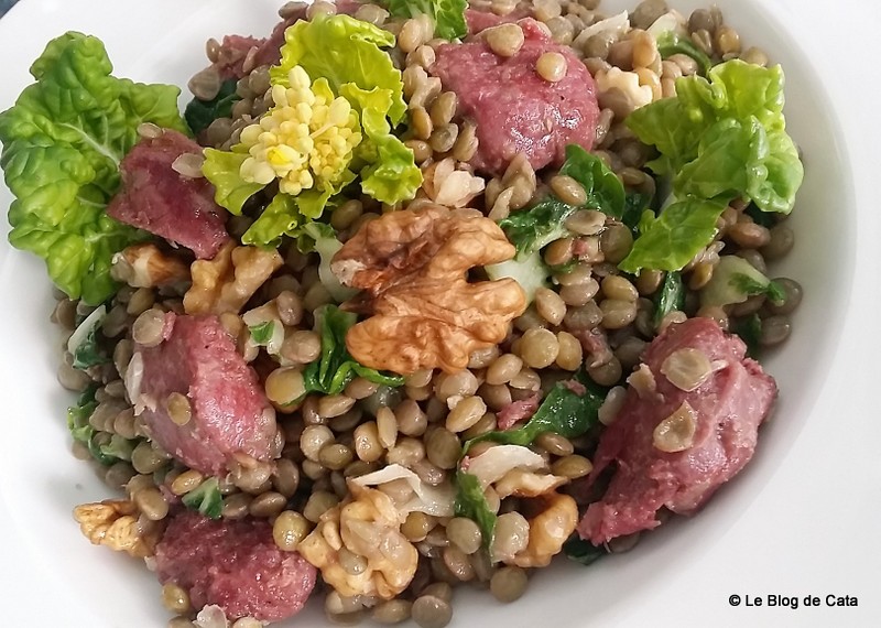 Salata de linte, pipote de rata confiate si varza pak choy