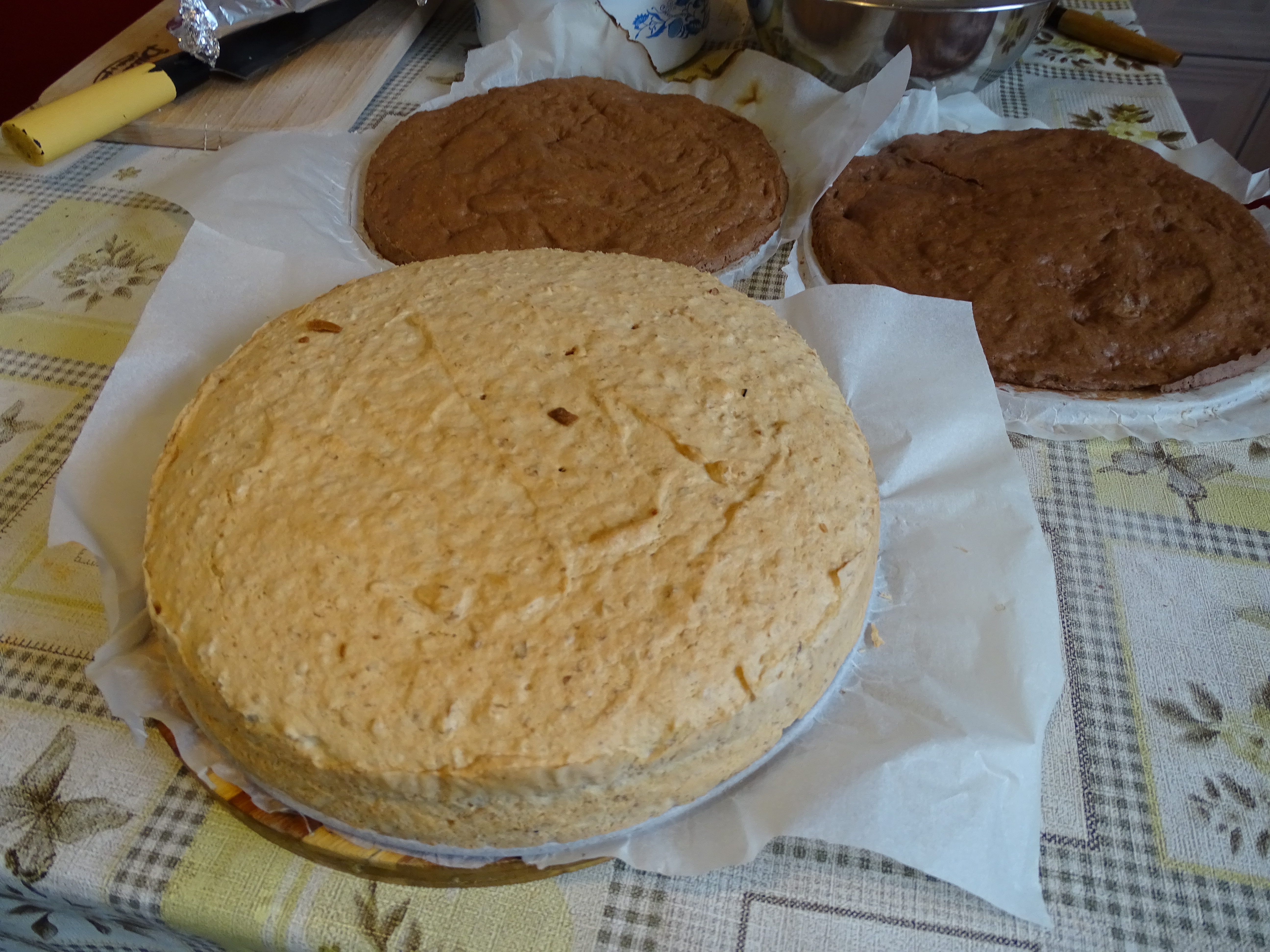 Desert tort Ema