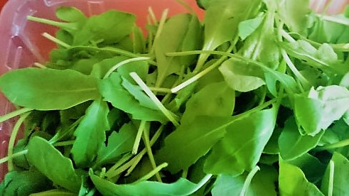 Salata de rucola cu ton si naut