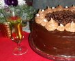 Desert tort amandina-18