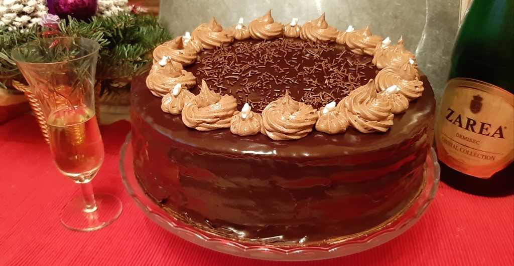 Desert tort amandina