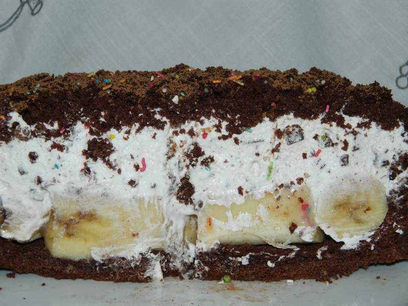 Desert tort musuroi de cartita