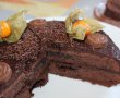 Desert tort Sacher-22