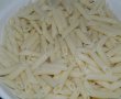 Penne cu ostropel reorientat-4