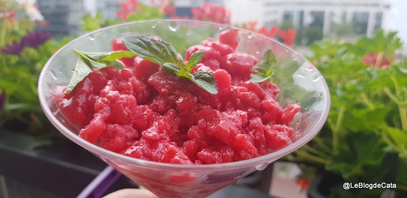 Granita de zmeura si menta