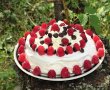 Desert Pavlova, cu rochie de vara intr-o toamna-8