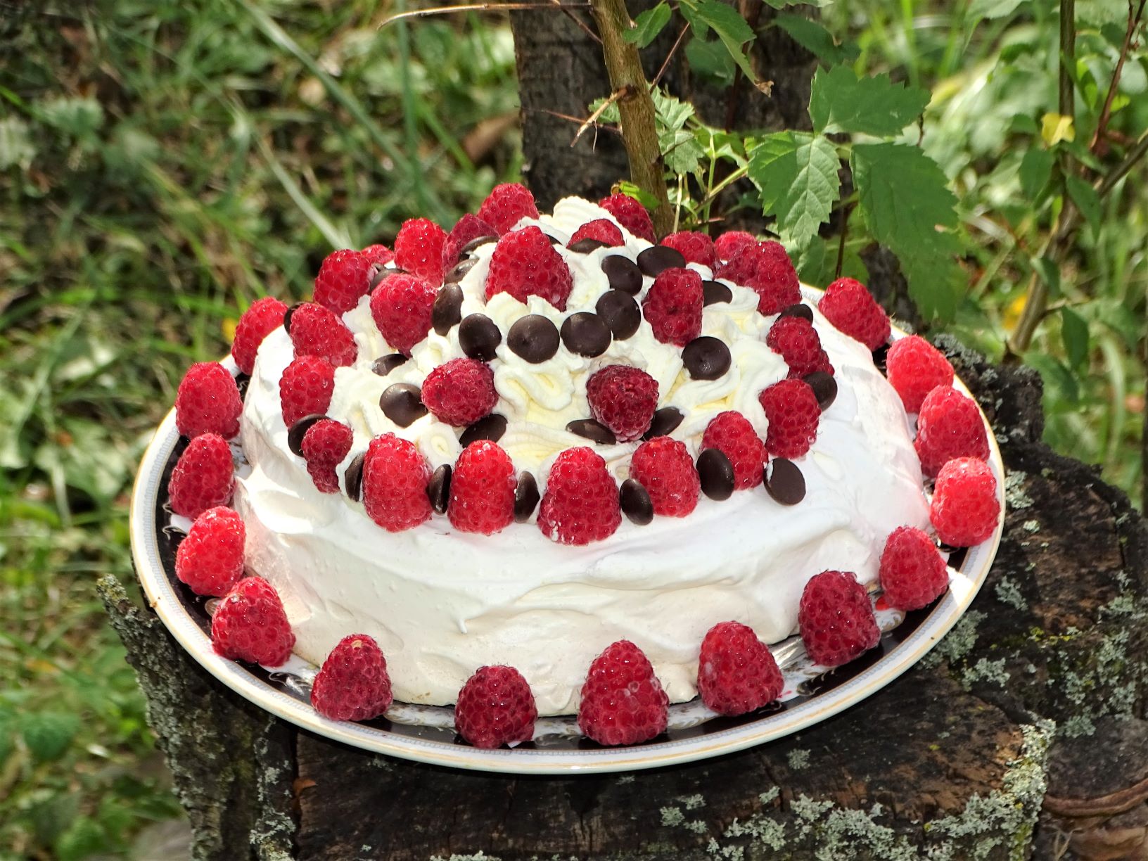 Desert Pavlova, cu rochie de vara intr-o toamna