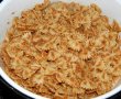 Farfalle cu biscuiti-8